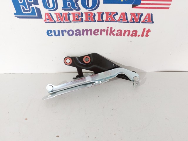 Hinge, LH